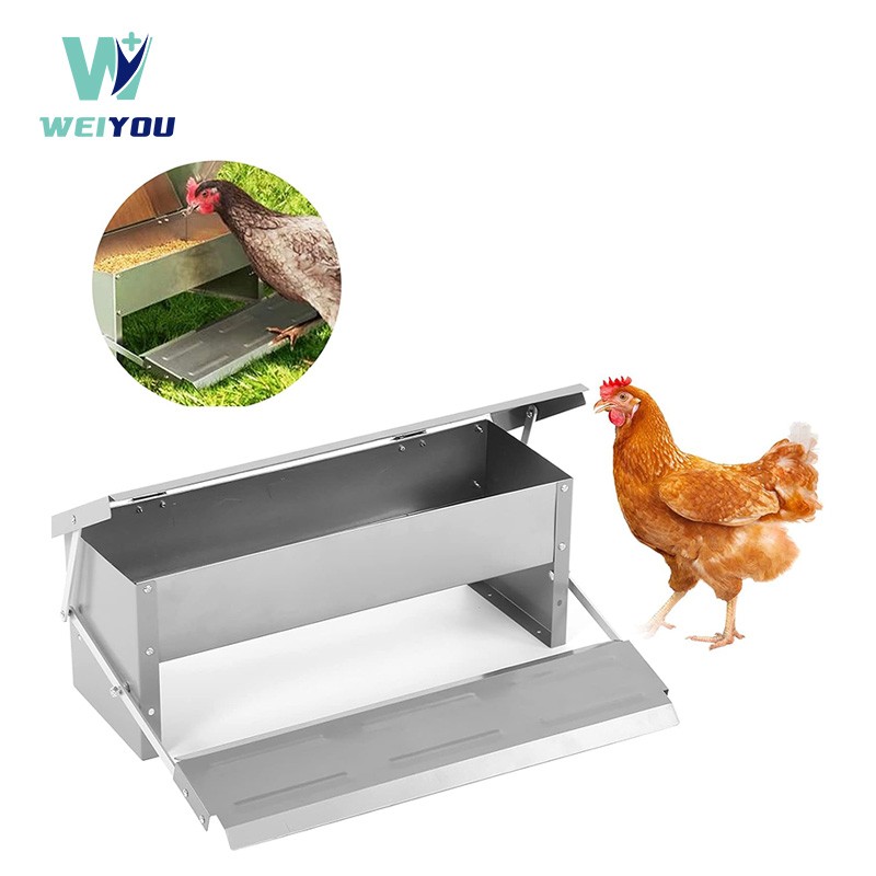 Alimentador Automático de Alimentos para Frango